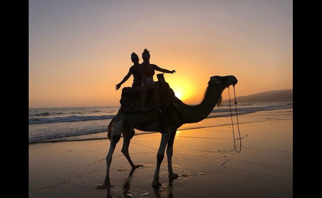 Sunset Camel